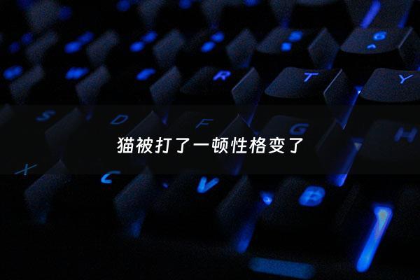 猫被打了一顿性格变了 - 猫被打后变得暴躁