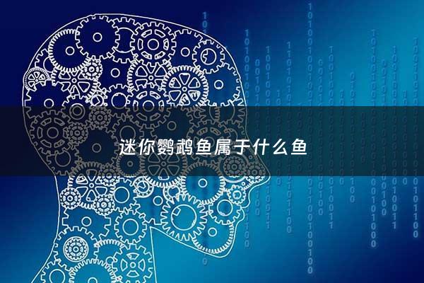 迷你鹦鹉鱼属于什么鱼 - 迷你鹦鹉鱼什么鱼食最好