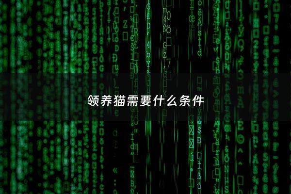领养猫需要什么条件 - 领养猫的条件