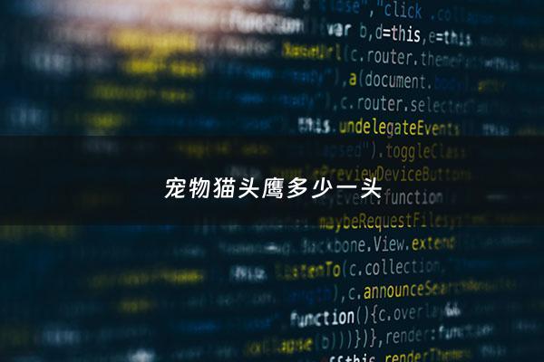 宠物猫头鹰多少一头 - 猫头鹰多少一只?