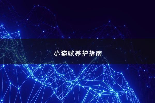 小猫咪养护指南 - 小猫咪养护指南 闻声有无