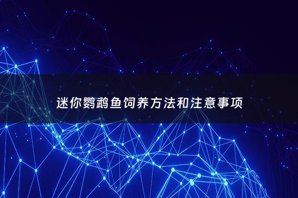 迷你鹦鹉鱼饲养***和注意事项 - 迷你鹦鹉鱼饲养***和注意事项图片