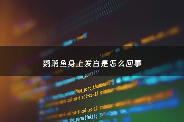 鹦鹉鱼身上发白是怎么回事 - 鹦鹉鱼身上变白怎么办