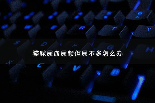 猫咪尿血尿频但尿不多怎么办 - 猫咪尿血尿频但尿不多怎么办吃什么药