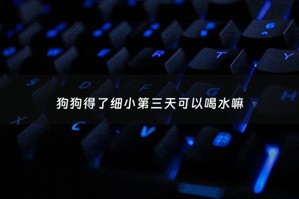 狗狗得了细小第三天可以喝水嘛 - 狗狗得细小第三天主动吃饭