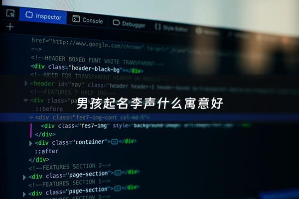男孩起名李声什么寓意好 - 男孩起名李声什么寓意好一点