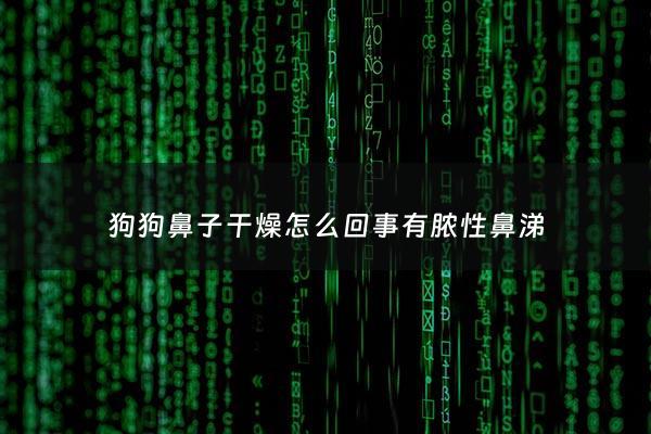 狗狗鼻子干燥怎么回事有脓性鼻涕 - 狗狗鼻子有点干燥怎么办