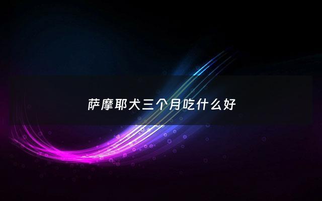 萨摩耶犬三个月吃什么好 - 萨摩耶犬三个月怎么养