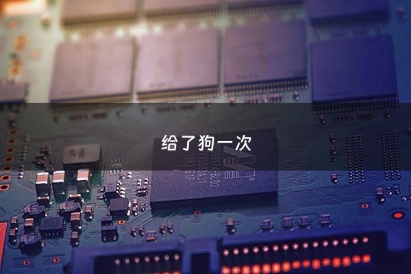 给了狗一次 - 狗一次就能怀孕吗