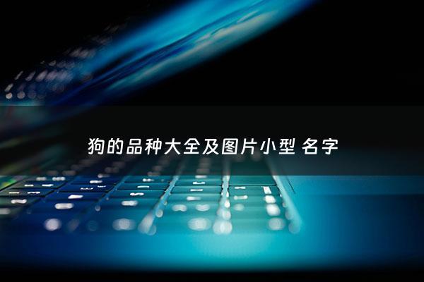 狗的品种大全及图片小型 名字 - 狗的品种 图鉴
