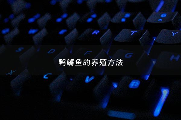 鸭嘴鱼的养殖*** - 鸭嘴鱼怎么家养