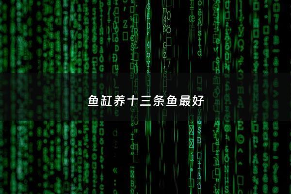 鱼缸养十三条鱼最好 - 鱼缸养十三条鱼最好吗
