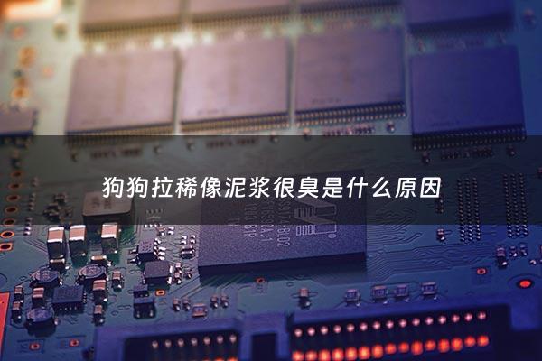 狗狗拉稀像泥浆很臭是什么原因 - 狗狗拉稀像泥浆很臭但精神很好吃什么药