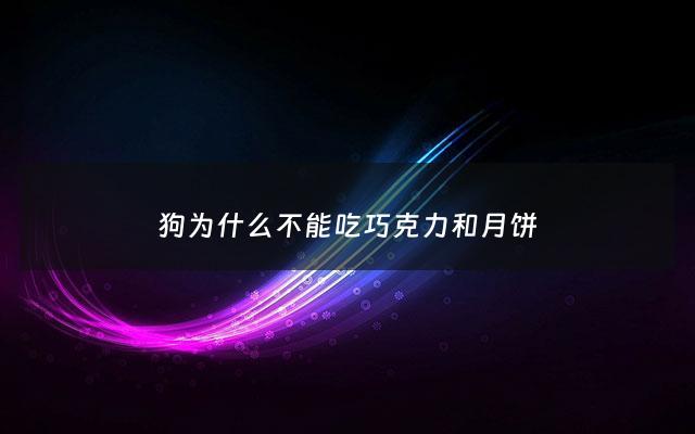 狗为什么不能吃巧克力和月饼 - 狗为什么不可以吃巧克力呢