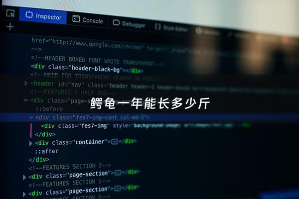 鳄龟一年能长多少斤 - 鳄龟一年能长几厘米