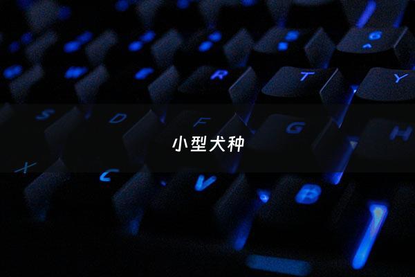 小型犬种 - 小型犬种有哪些