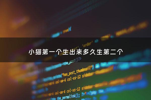 小猫第一个生出来多久生第二个 - 猫生出第一只后多久开始生第二只