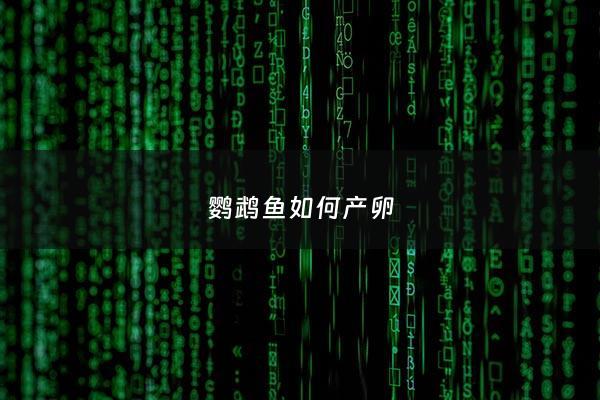 鹦鹉鱼如何产卵 - 鹦鹉鱼如何产卵繁殖