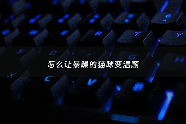 怎么让暴躁的猫咪变温顺 - 怎么让猫性格变温顺