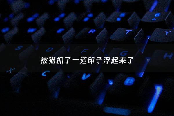 被猫抓了一道印子浮起来了 - 被猫抓了条印子