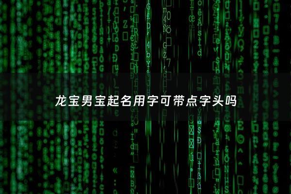 龙宝男宝起名用字可带点字头吗 - 龙宝宝男孩起名大全