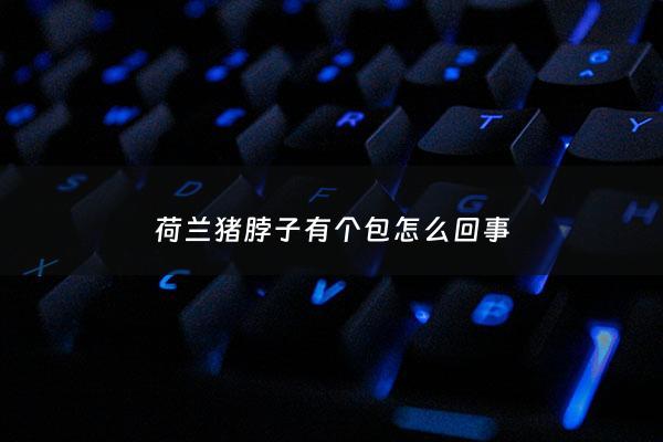 荷兰猪脖子有个包怎么回事 - 荷兰猪脖子后面有个大包