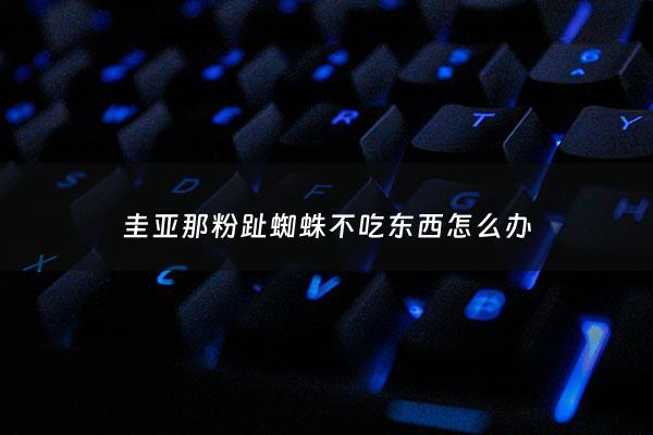 圭亚那粉趾蜘蛛不吃东西怎么办 - 圭亚那粉趾蜘蛛有毒么