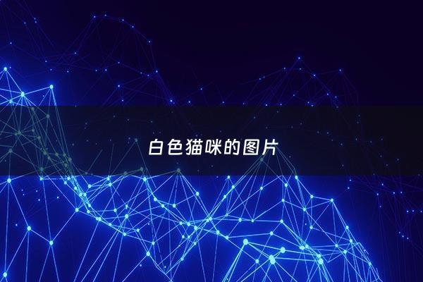 白***咪的图片 - 白***咪图片***