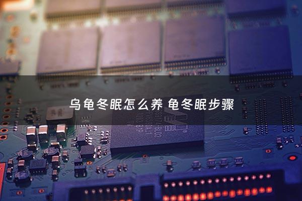 乌龟冬眠怎么养 龟冬眠步骤 - 乌龟冬眠怎么冬眠***好