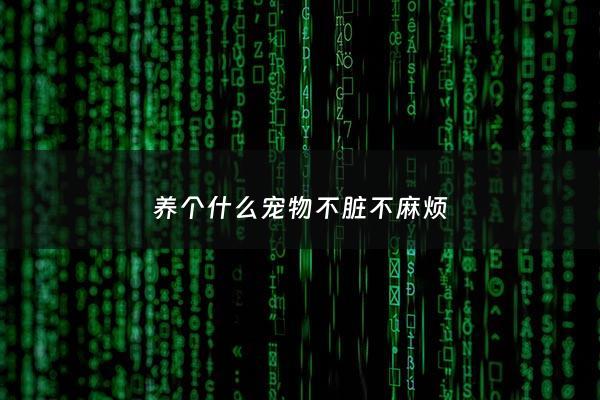 养个什么宠物不脏不麻烦 - 养什么宠物最省心不用管
