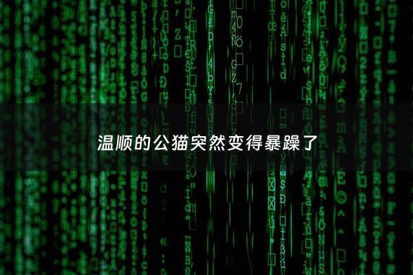 温顺的公猫突然变得暴躁了 - 公猫性格突然暴躁