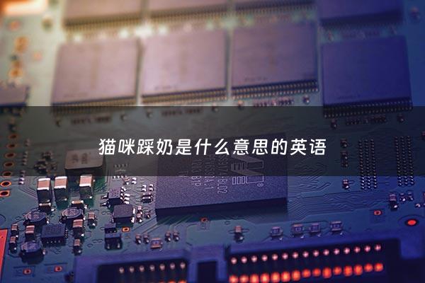 猫咪踩奶是什么意思的英语 - 猫踩奶是什么意思?