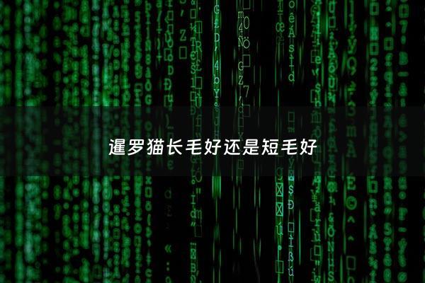 暹罗猫长毛好还是短毛好 - 暹罗猫长毛好还是短毛好呢