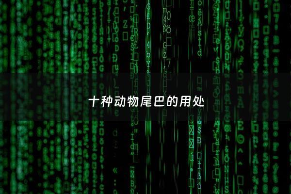 十种动物尾巴的用处 - 十种动物尾巴的作用