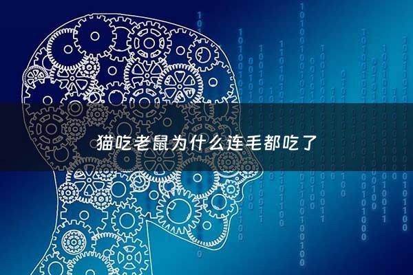 猫吃老鼠为什么连毛都吃了 - 为啥猫吃老鼠没事