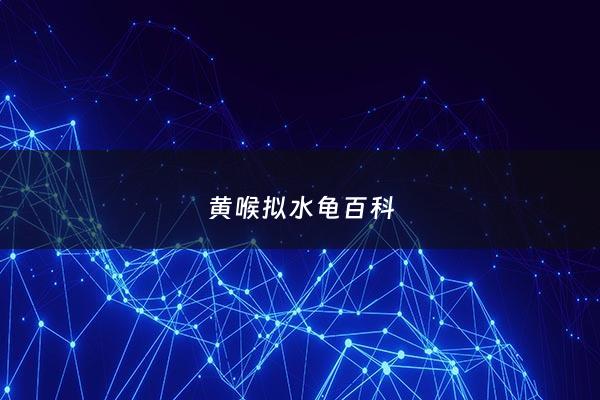 黄喉拟水龟百科 - 黄喉拟水龟介绍