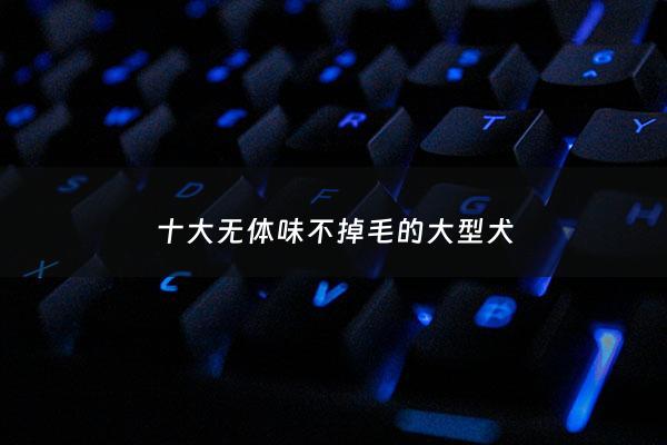 十大无体味不掉毛的大型犬 - 十大无体味不掉毛的大型犬有哪些