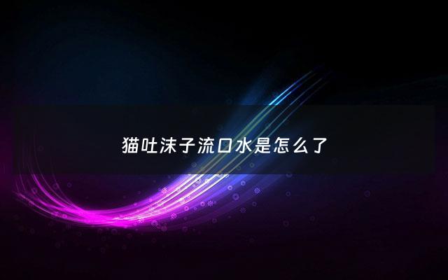 猫吐沫子流口水是怎么了 - 猫吐沫子怎么回事