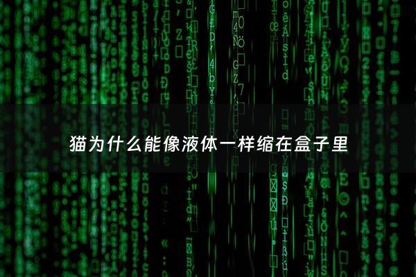 猫为什么能像液体一样缩在盒子里 - 猫咪为什么能像液体一样蜷缩在盒子里