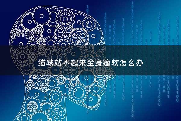 猫咪站不起来全身瘫软怎么办 - 猫咪站不起来全身瘫软怎么办吃什么药