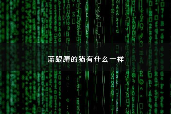 蓝眼睛的猫有什么一样 - 蓝眼睛的猫有什么一样的颜色