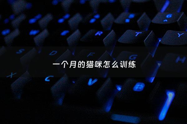一个月的猫咪怎么训练 - 一个月的猫咪怎么训练它