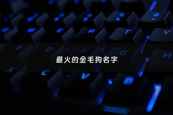 最火的金毛狗名字 - 金毛狗名字大全 顺口的
