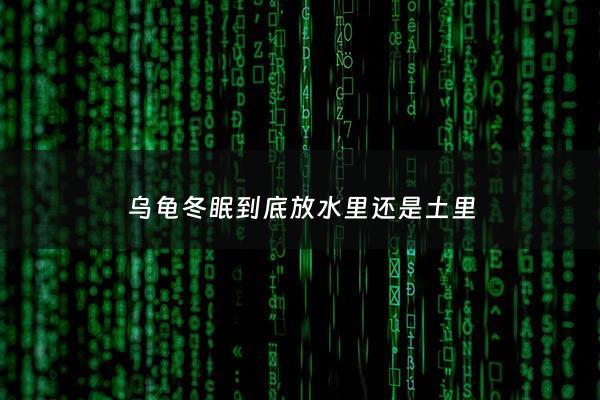 乌龟冬眠到底放水里还是土里 - 乌龟冬眠放在水里还是拿出来