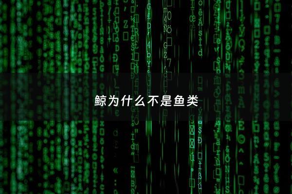 鲸为什么不是鱼类 - 鲸为什么不是鱼最少从三个方面说明