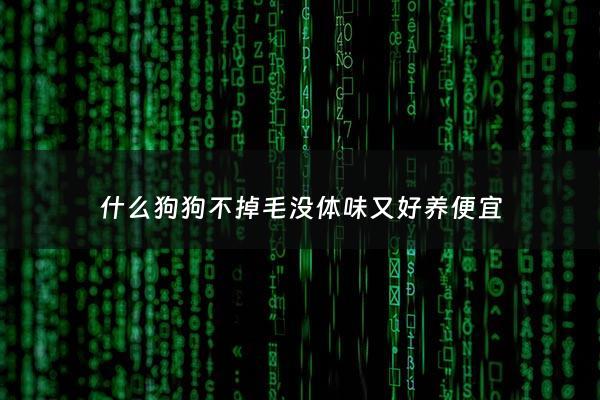 什么狗狗不掉毛没体味又好养便宜 - 什么狗狗不掉毛没体味又聪明