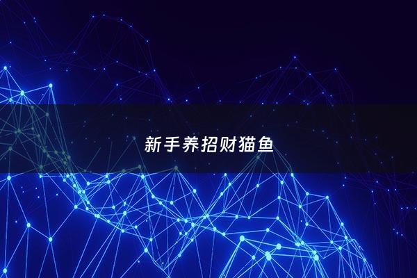 新手养招财猫鱼 - 新手养招财猫鱼好吗