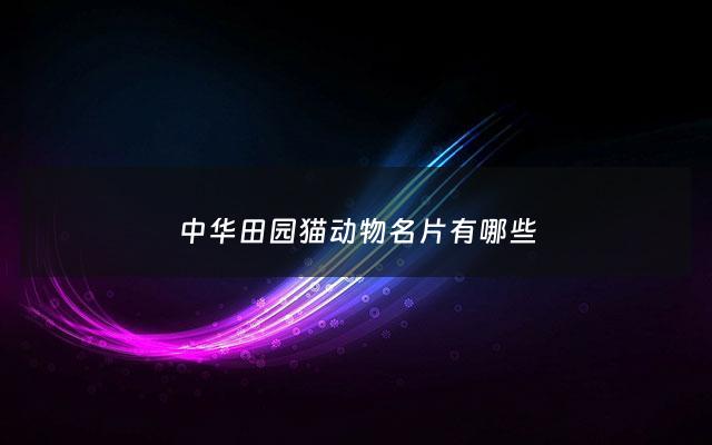 中华田园猫动物名片有哪些 - 中华田园猫有哪些好听的名字