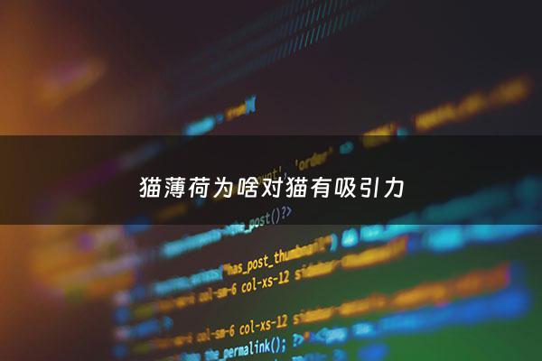猫薄荷为啥对猫有吸引力 - 为啥猫薄荷对猫不起作用