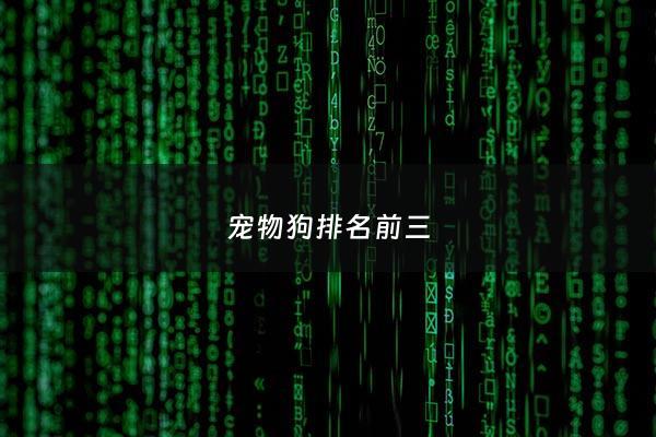 宠物狗排名前三 - 宠物狗 排名